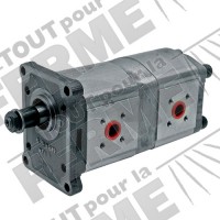 Pompe hydraulique adaptable double pour RENAULT moteur Perkins